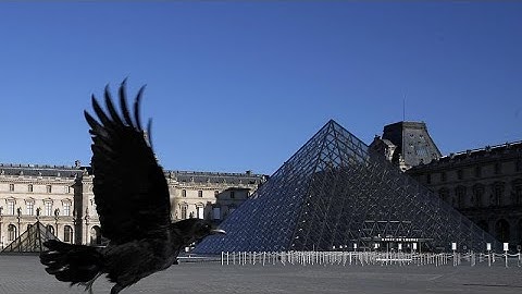 La cultura en tiempos de la pandemia