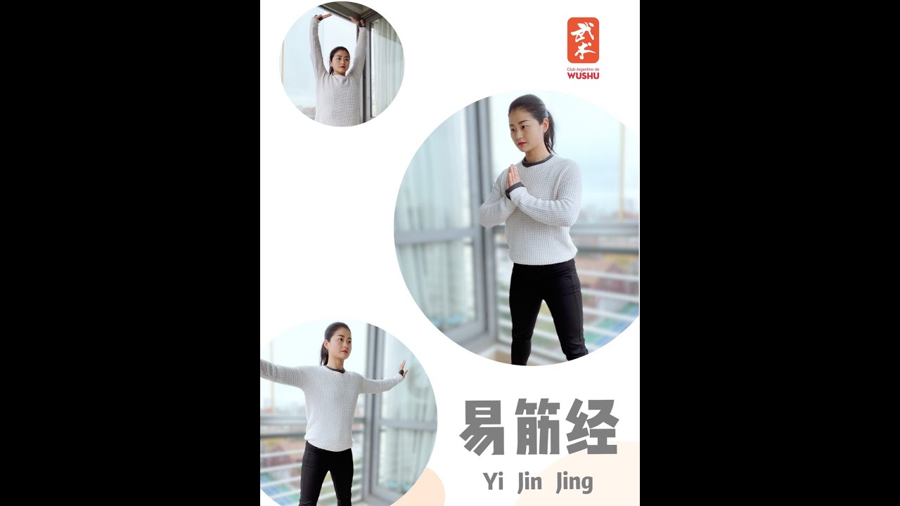 Wushu Kung Fu en casa Día 85 QiGong Cambio Tendón y Músculo 易筋经 The classics of Tendon Changing