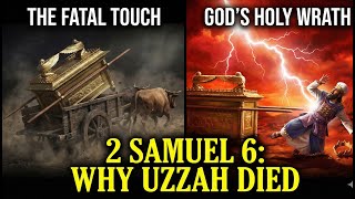 He Touched It And Died (Why God Killed Uzzah). #animatedbiblestory