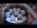 How to Make Perfect Hard Boiled Eggs:  Noreen's Kitchen