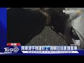 開車滑手機遭盯上 通緝狂逃衝撞警車｜TVBS新聞 @TVBSNEWS01