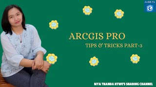 ArcGIS Pro Tips and Tricks  Part-3.#gis #arcgis pro #tipsandtricks