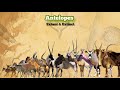 Antelopes  size comparison all species
