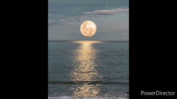 تلاوة في غاية الجمال - سورة فصلت كاملة