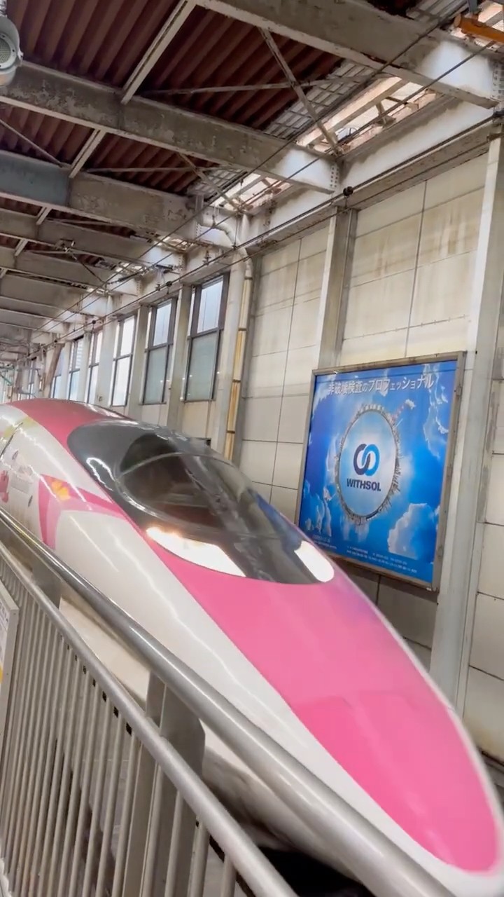 ハローキティ新幹線 HelloKitty Shinkansen | JR西日本 ピンクのリボン