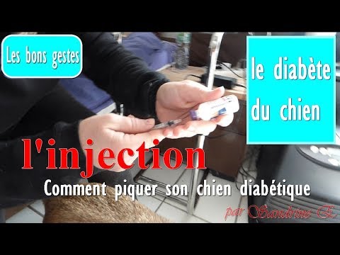 Vidéo: Conseils pour donner de l'insuline aux chiens