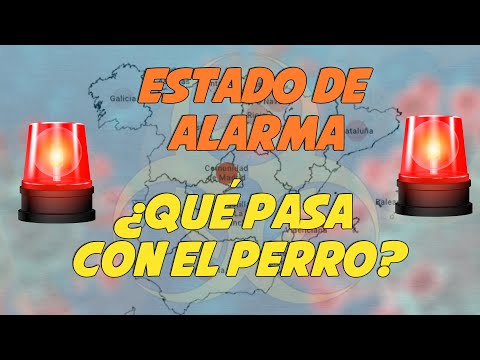 🚨🚨¿Qué pasa con los perros?🐶🤔 | Estado de Alerta 📢🧻🚨🚨