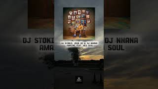 Who is going to  stop Dj stokie? #amapiano @TheKingOfAmapiano
