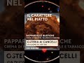 "Pasta rustica fatta a mano, sugo ricco e profumato… un assaggio e ti innamori! 🍝❤️"