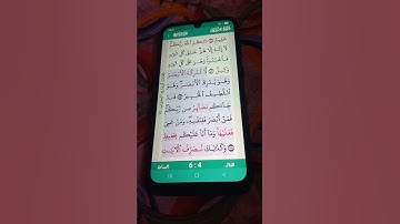 سورة الأنعام الآية 103-106 سعد الغامدي