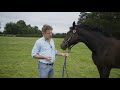 OUIJA BOARD: WORLD'S MOST TRAVELLED RACEHORSE