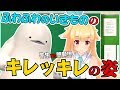 【みみたろう×銀河アリス】ふわふわのいきものが鋭いツッコミを入れるようになるまでの悲しい5分間【理科 前編】