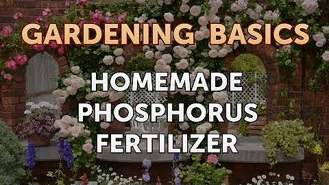 where to buy phosphorus fertilizer