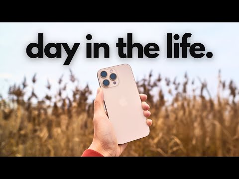 A Real Day