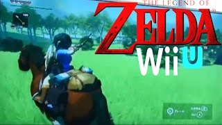 Zelda: Breath of the Wild Analysis Gameplay Trailer Reaction - Zelda News | Macintyre