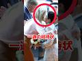 【家族】雅子さまとオランダ王室の関係 #雅子さま #オランダ #皇室