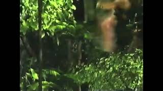 Disney Channel George Of The Jungle 2 Promo December 1, 2005