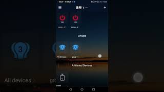 【Magic Home Pro】How to configure groups and lights to the panel screenshot 4