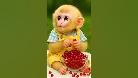 You Won’t Believe What This Monkey’s Eating#shorts