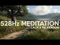 528 Hz Healing Frequency Meditation | Anxiety Relief & Inner Peace | Spring Tree by Country Track