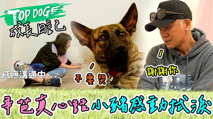 TOPDOG 成長日記｜羅志祥找寵物溝通師 聽見辛芭對他說這句 哽咽哭了！ 相互道謝 場面太溫馨🧡@topdoghome​ - 天天要聞