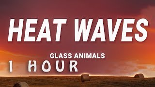 [ 1 HOUR ] Glass Animals - Heat Waves (Lyrics)