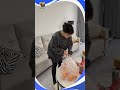 Khi vợ em về một tuần về nhà ngoại 8 lần #haihuoc #giaitri