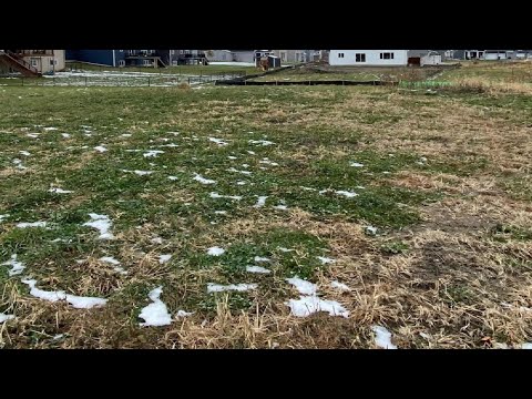 20998 Peony Lane, Rogers, MN home video tour