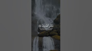 القارئ طارق محمد - وَبَشِّرِ الصَّابِرِينَ | مقاطع قرآن قصيرة وحالات واتس إسلامية 🌱