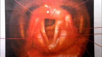 How to identify anatomical landmarks during FEES (amended)