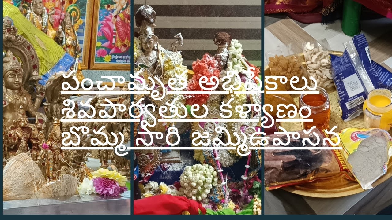 ఎంతో వైభవంగా జరిగిన శివపార్వతుల కళ్యాణం,జమ్మి ఉపవాసం ఎలా చెప్పాలి? ఎందుకు చెప్పాలి? బొమ్మ సారి ఏంటి?