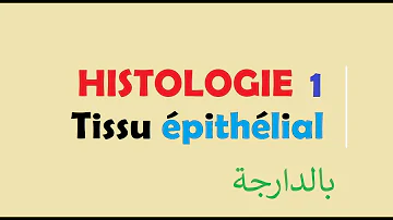 C'est quoi un examen histologique ? C'est quoi un examen histologique ?