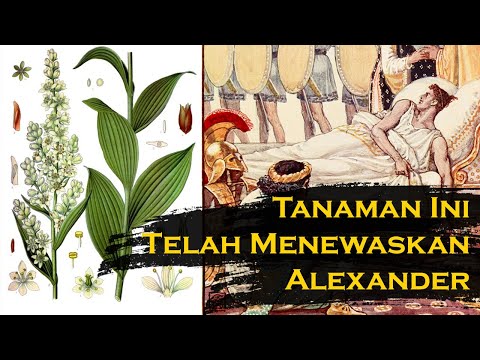 Video: Misteri Kematian Alexander Agung - Pandangan Alternatif