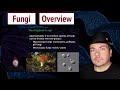 Overview of Fungi