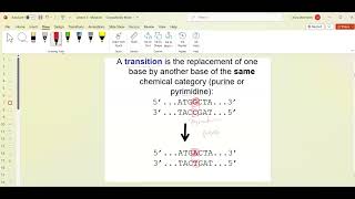 Bio 240 -Lesson 7  (Lecture 5 ppt - slds 1-47 -  Mutation I)