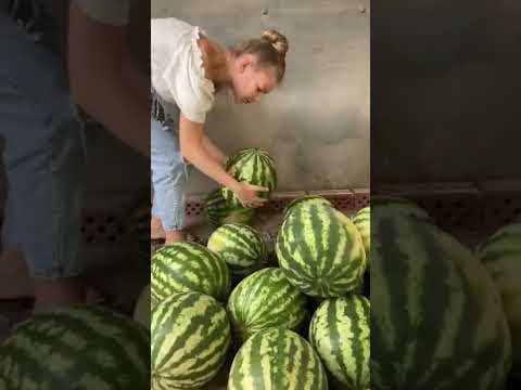 КАК ПРАВИЛЬНО ВЫБРАТЬ АРБУЗ 🍉🍉🍉