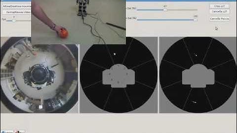 Omnidirectional vision on a humanoid robot