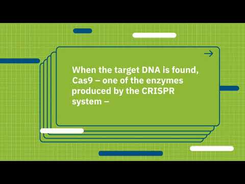 CRISPR Technology || What Are Genome Editing And CRISPR-Cas9? || Learntoupgrade || Online Learning