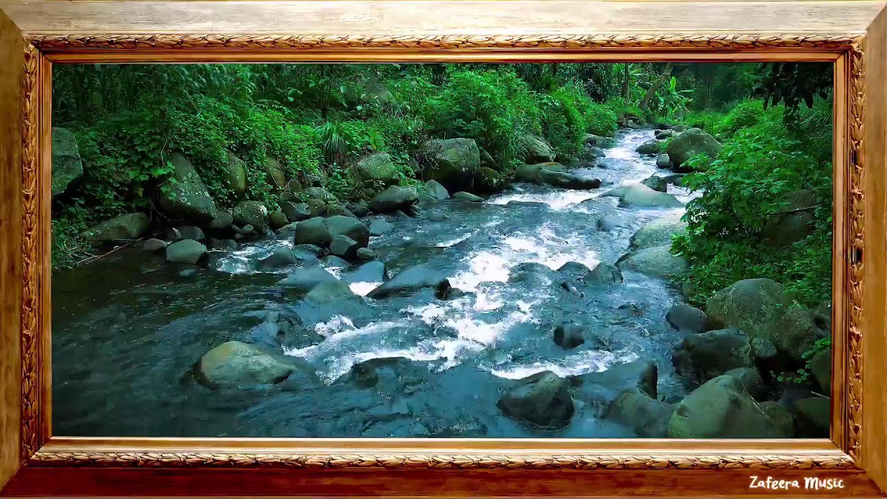 💥🎶 Relaxing Majestic Forest Sounds, River Flow  | Gentle Nature Sounds ASMR for Sleep & Meditation |