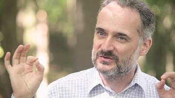 Stories Happen in Forest: David Haskell