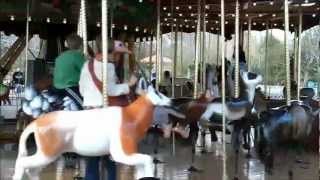 The New Carousel At The National Zoo ( 2 )  Washington DC  2/15/2013.