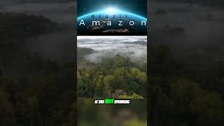 The Mysteries of the Amazon #travel #trending #fyp #Amazon #mystery
