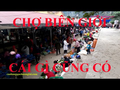 Chân hổ móng hổ, da gấu răng nanh gấu, chân khỉ kỳ đà, nhung hưu sao..chợ phiên biên giới Việt-Trung