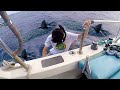 I went swimming with Sharks... (scariest experience ever)