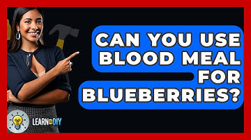 Can You Use Blood Meal For Blueberries? - LearnToDIY360.com
