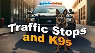 Traffic Stops & K9s Webinar 3-12-2025