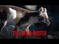 THE WILD NORTH Trailer || Muskox, Arctic Fox, &amp; Grand Landscape