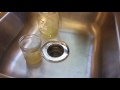Gnat infestation: Apple Cider Vinegar does NOT work