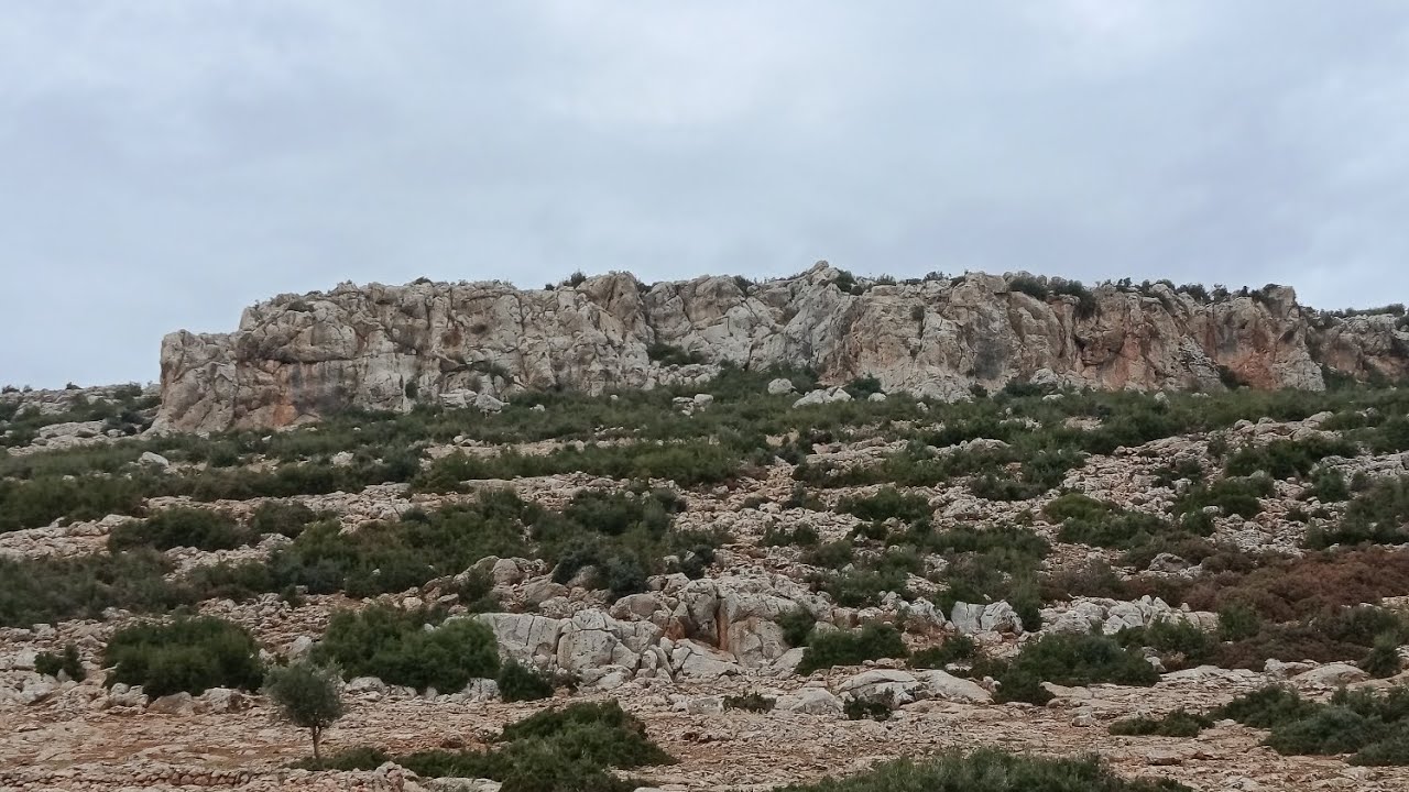 ضيعه ماملي ♥️ مامولو ،⛰️⛰️🌹🌹😍😍