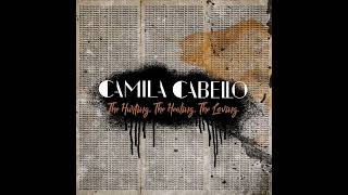 Watch Camila Cabello The Boy video